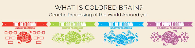 Coloured Brain Communication skills training